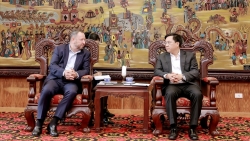 mega market viet nam de xuat dau tu dai sieu thi tai vinh phuc