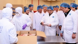 Thủ tướng thăm Tổ hợp trang trại và nhà máy chế biến thịt bò 500 triệu USD