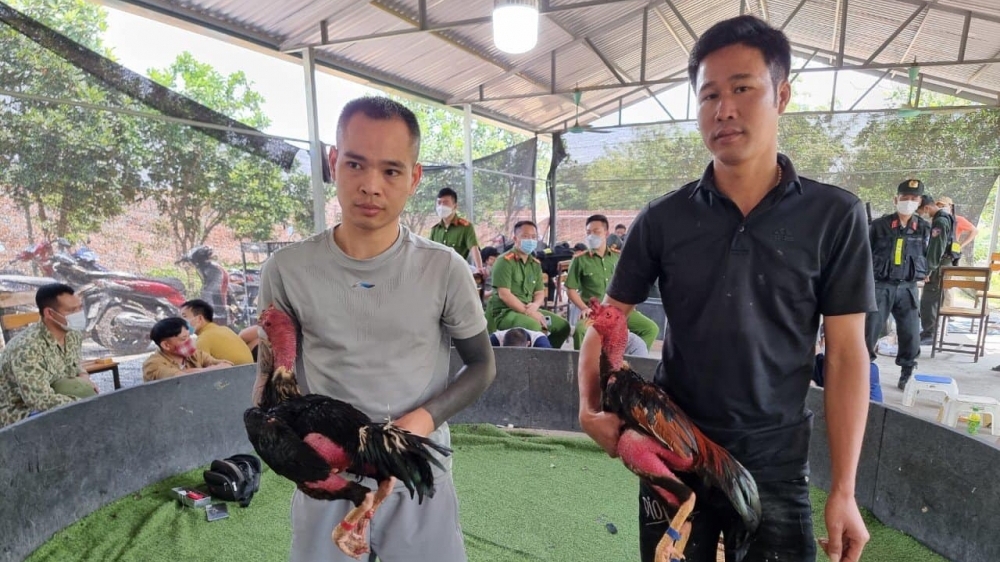 Vĩnh Phúc: Hơn 40 đối tượng tụ tập đánh bạc trong sới chọi gà