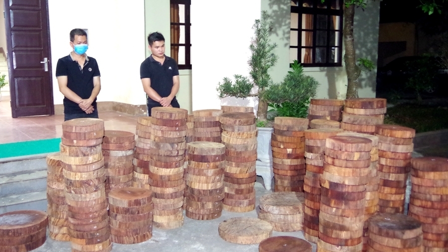 Hà Giang: Bắt giữ vụ vận chuyển 348 khúc gỗ nghiến trái phép