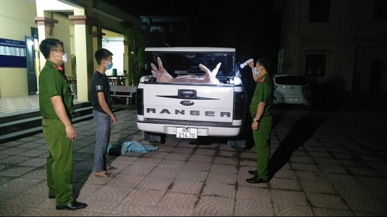 Vĩnh Phúc: Bắt giữ xe ô tô chở hơn 750 kg lợn chết