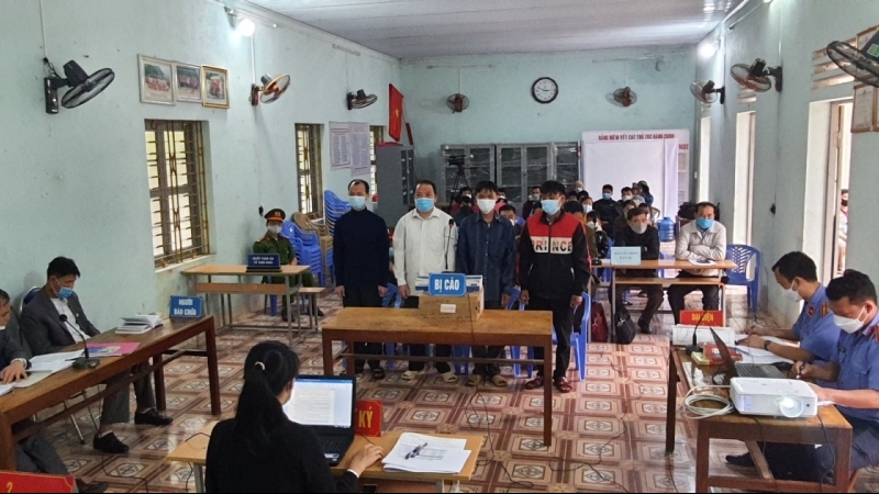 Hà Giang: Tuyên phạt 4 bị cáo hơn 15 năm tù vì khai thác trái phép 11 cây gỗ nghiến