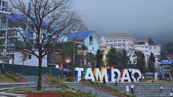 Vĩnh Phúc sẽ diễn ra Lễ công bố Quyết định công nhận Khu du lịch quốc gia Tam Đảo