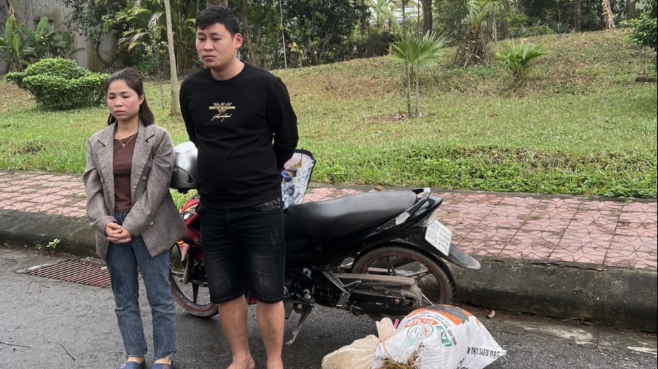 Vĩnh Phúc: Bắt giữ 2 đối tượng vận chuyển trái phép cá thể tê tê và dúi đi tiêu thụ