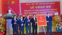 vinh phuc cong bo nghi quyet thanh lap thi tran kim long huyen tam duong
