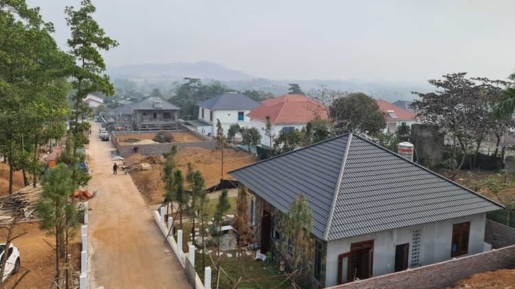 Cưỡng chế thu hồi đất đã giao cho Công ty Kim Long: Chính quyền nói gì?