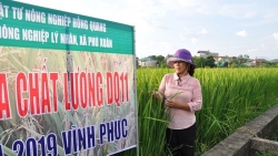 vinh phuc co 2 don vi duoc trao giai ngoi sao hop tac xa