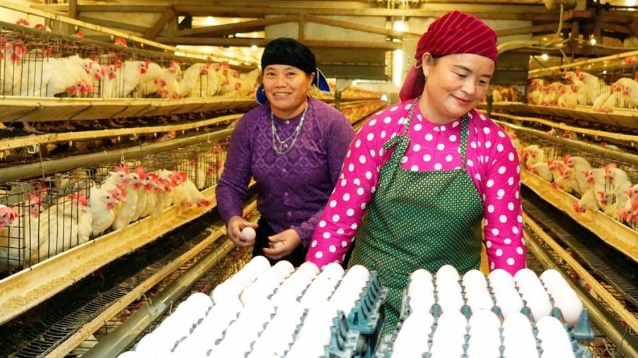 Diện mạo nông thôn mới kiểu mẫu dần hiện hữu tại xã Thanh Vân