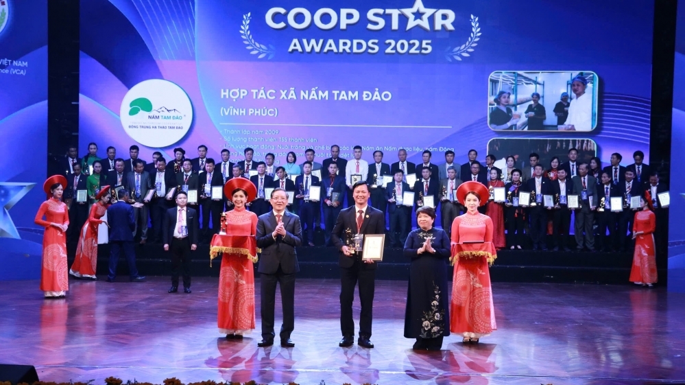 Nấm Tam Đảo nhận giải thưởng Ngôi sao HTX năm 2025