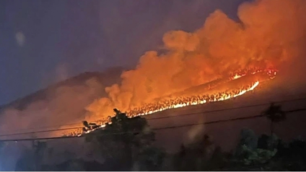 Vĩnh Phúc: Cháy 6ha rừng sản xuất ở ngoại vi rừng quốc gia Tam Đảo