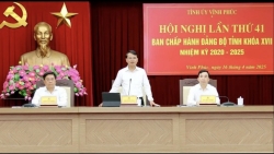 Vĩnh Phúc dự kiến còn 36 đơn vị hành chính cấp xã, phường