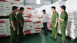 Phú Thọ: Đột kích xưởng làm giả 71 nghìn lít dầu ăn, 40 tấn mì chính