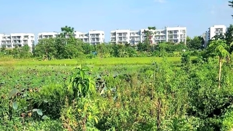 Thành phố Phúc Yên: Thu hồi gần 1,1ha đất của 14 hộ để làm dự án đô thị