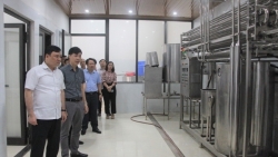 vinh phuc phat trien xay dung va quang ba thuong hieu san pham cho que huong chan nuoi va che bien sua vinh thinh