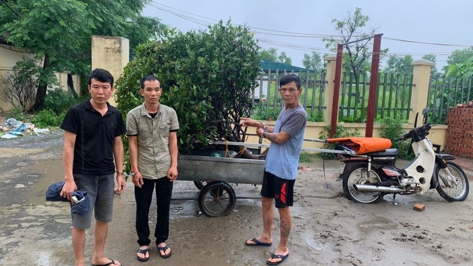 Vĩnh Phúc: Phát hiện đối tượng nghiện ma túy trộm cắp cây cảnh hoạt động lưu động