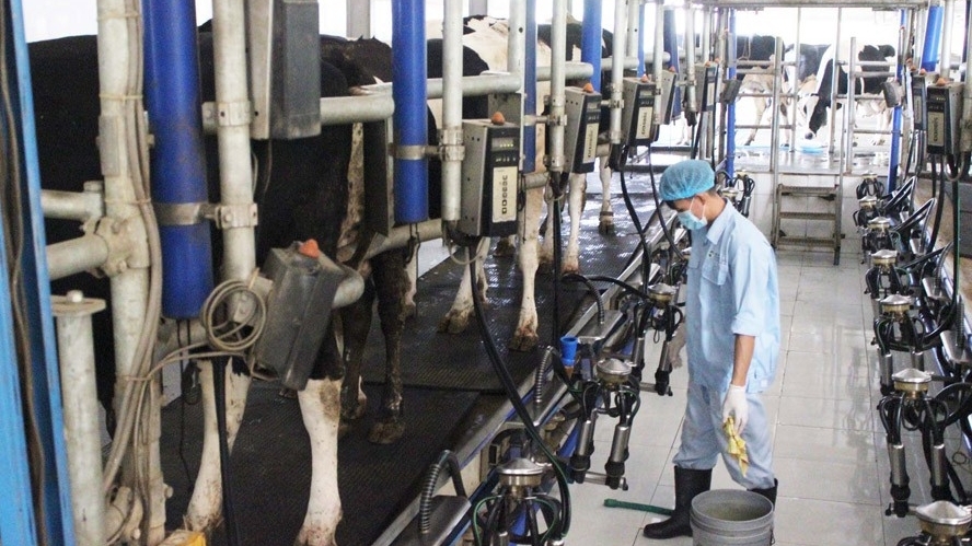 Hà Nội đẩy mạnh ứng dụng công nghệ cao trong chăn nuôi