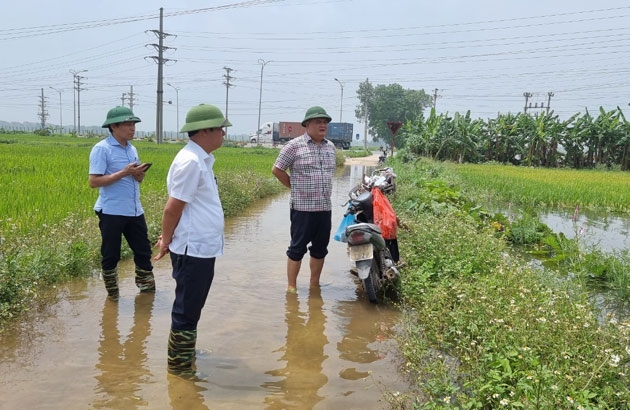 Đ.c Chủ tịch UBND thành phố Nguyễn Việt Phương, Tỉnh ủy viên kiểm tra tại cánh đồng lúa bị ngập úng