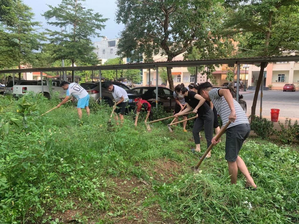 Rọn vệ sinh tại ủy ban