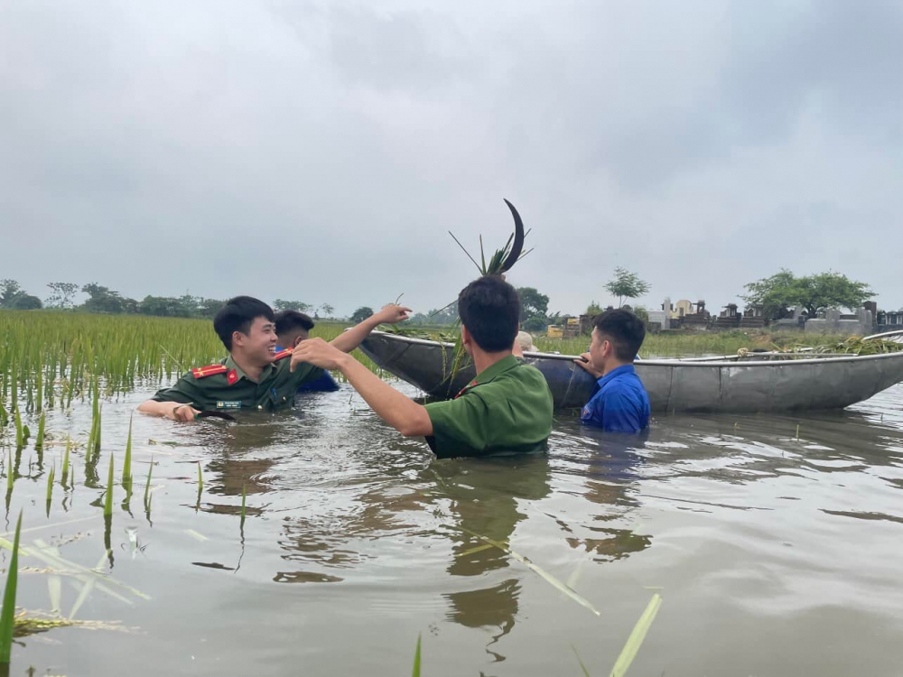 Các chiến sĩ Công an gặt lúa lên thuyền