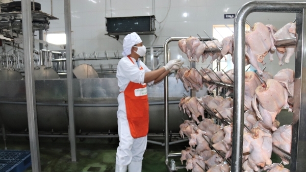 Vĩnh Phúc: Tuyên truyền, kiểm tra đảm bảo vệ sinh an toàn thực phẩm đi vào thực chất