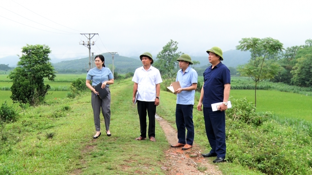 Chủ tịch UBND huyện Hoàng Long Biên kiểm tra thực tế tại các địa phương về một số nội dung ý kiến cử tri. 