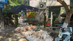 Vĩnh Phúc: Hơn 1 tấn thịt lợn ‘bẩn’ chuẩn bị đưa vào bếp ăn công nhân