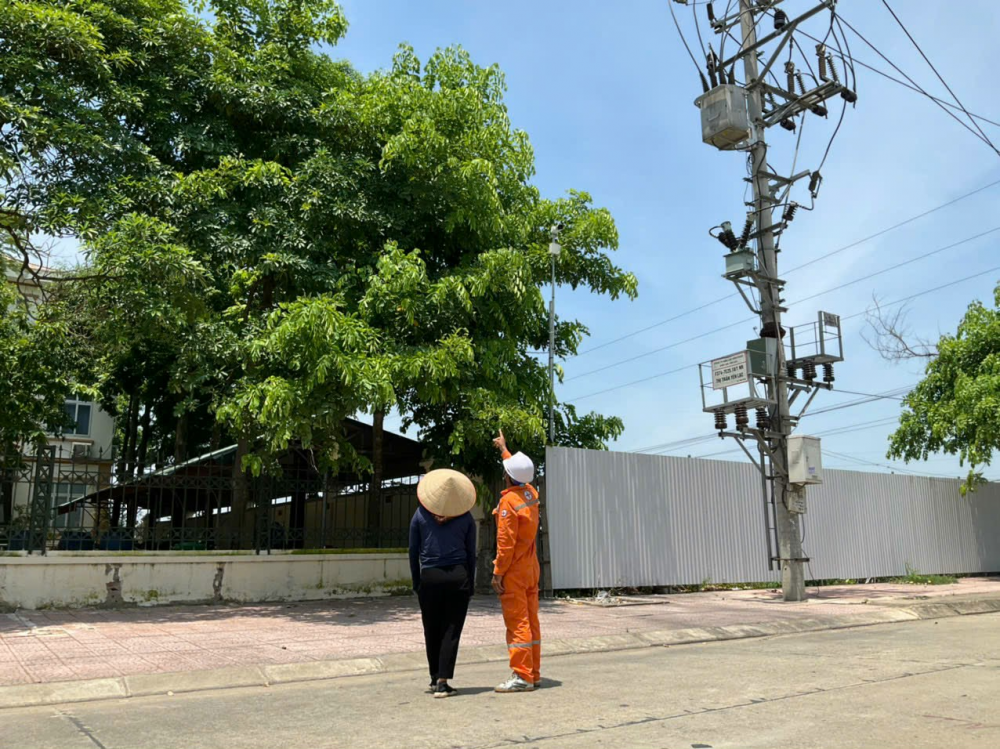 PC Vĩnh Phúc: Đảm bảo an toàn hành lang lưới điện