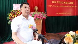 vinh phuc danh gia hien trang anh huong cua sinh vat ngoai lai
