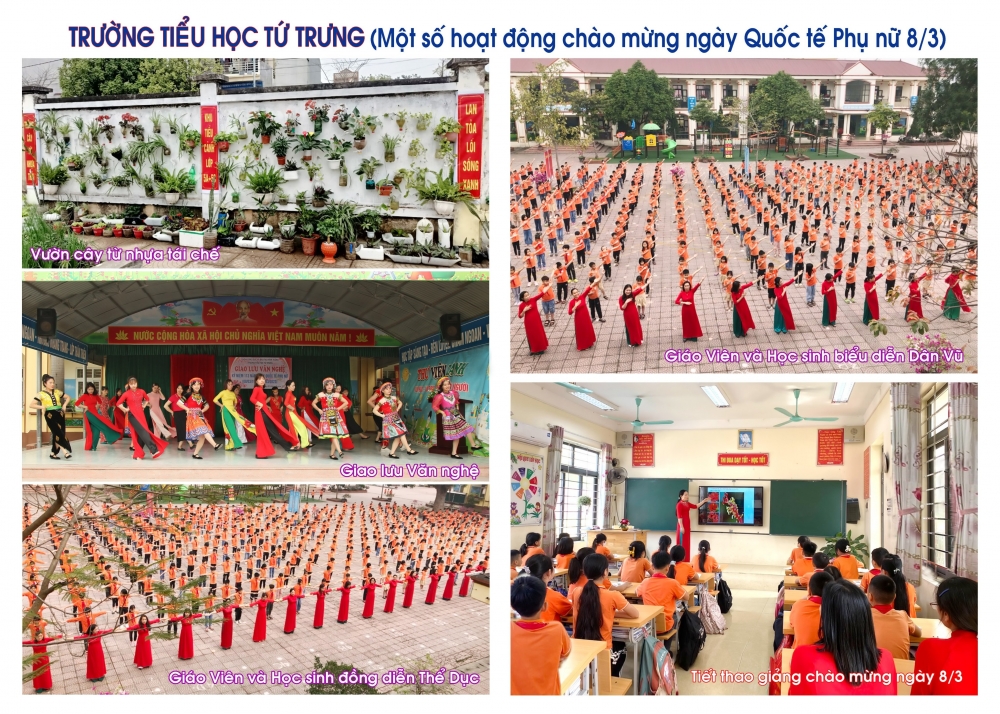 Vĩnh Phúc: Trường Tiểu học Tứ Trưng - 