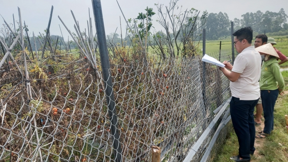 Vĩnh Phúc: Sẽ cưỡng chế GPMB 4 hộ dân tại dự án xây dựng Khu công nghiệp Bình Xuyên