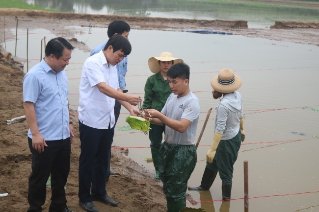 Dự án sản xuất thử nghiệm “Xây dựng mô hình Ứng dụng KH&CN trồng Sen quy mô tại thôn Đông, xã Phú Đa”.