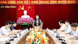 vinh phuc huy dong suc manh cua ca he thong chinh tri xay dung lang van hoa kieu mau