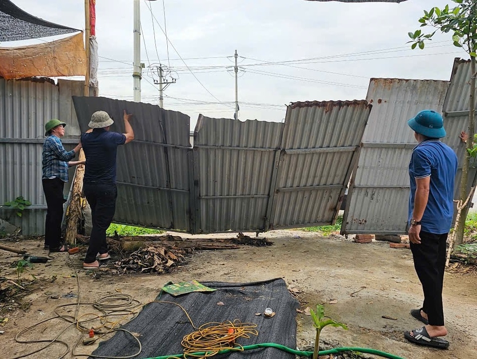 TP Vĩnh Yên: Kiên quyết xử lý vi phạm đất đai tại xã Thanh Trù TP Vĩnh Yên: Kiên quyết xử lý vi phạm đất đai tại xã Thanh Trù