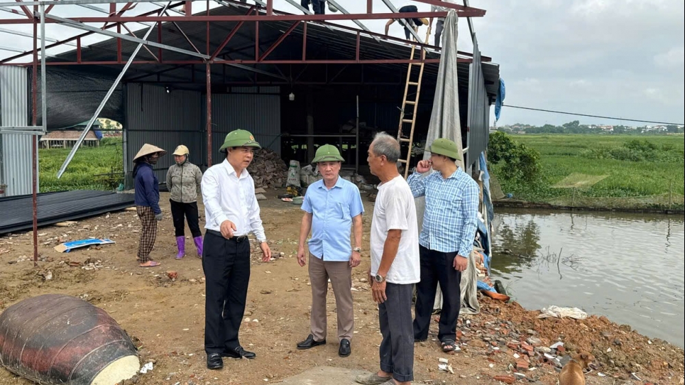 Huyện Vĩnh Tường quyết liệt xử lý vi phạm đất đai tại xã Lũng Hoà