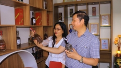 ho tro cam tay chi viec cho doanh nghiep vua va nho tai vinh phuc