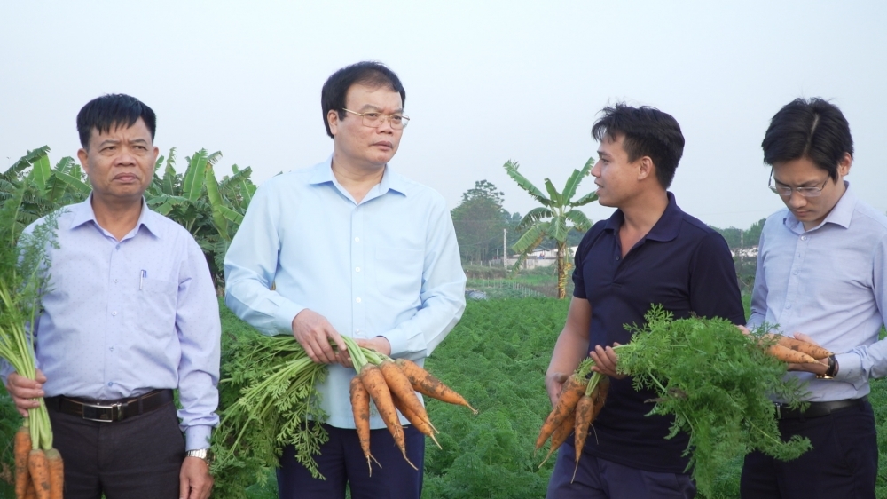 Yên Lạc (Vĩnh Phúc): Trong 6 tháng đầu năm đạt tổng thu ngân sách Nhà nước hơn 408 tỷ đồng