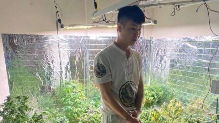 Quảng Ninh: Bắt khẩn cấp đối tượng trồng cần sa tại nhà để tiêu thụ