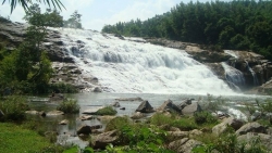 nghe an co gai tre duoi nuoc thuong tam