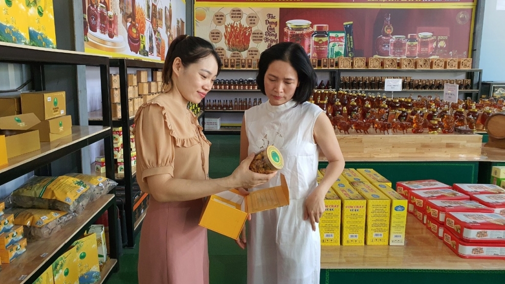 Trạm dừng nghỉ IC4 Tam Đảo Xanh - Điểm nghỉ ngơi và mua sắm các sản phẩm OCOP tại Vĩnh Phúc