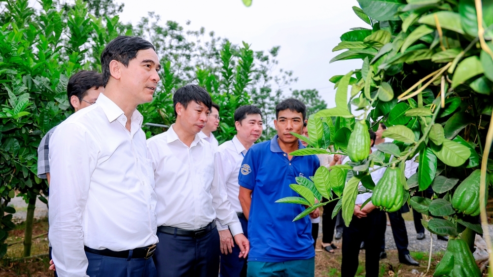 Bài 3: Nỗ lực cán đích huyện nông thôn mới nâng cao đầu tiên của Vĩnh Phúc