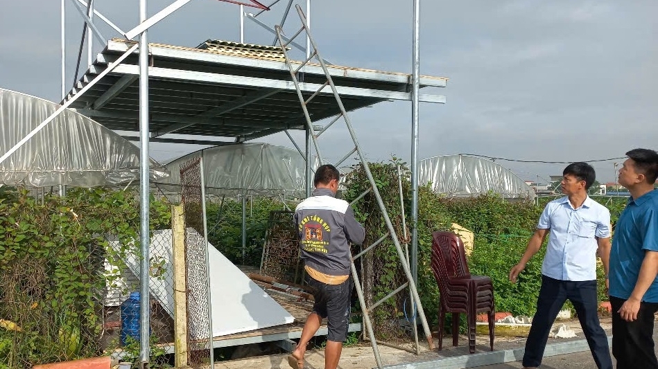 Phú Thọ: Hỗ trợ tháo dỡ công trình vi phạm đất đai tại xã Vĩnh Phú