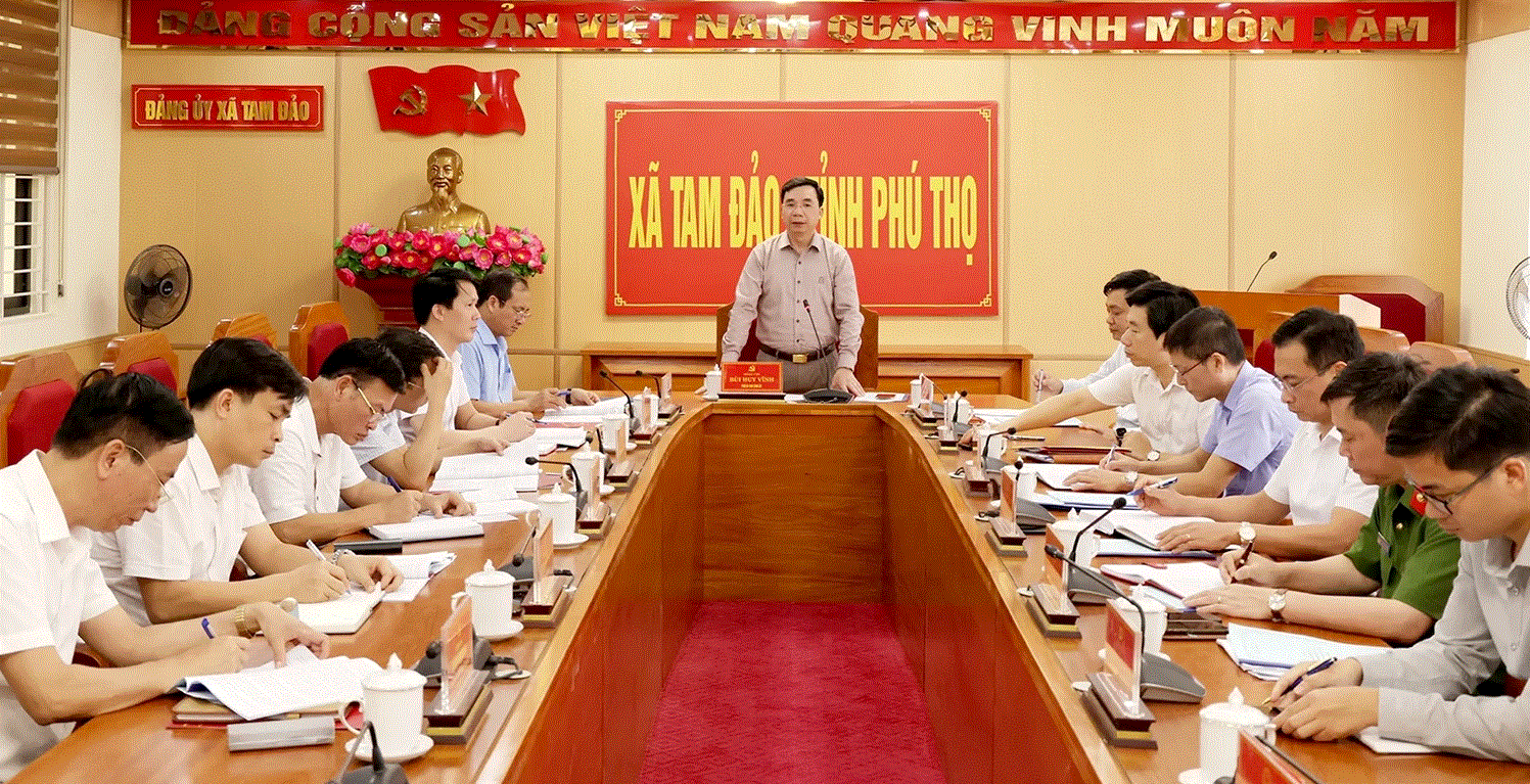 Đồng chí Bùi Huy Vĩnh, Phó Bí thư Tỉnh ủy phát biểu tại buổi kiểm tra. Ảnh: Dương Chung.