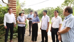 lanh dao tinh phu tho kiem tra du an duong day 500kv lao cai vinh yen