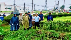 cac kcn tinh phu tho chu dong phuong an ung pho bao so 3