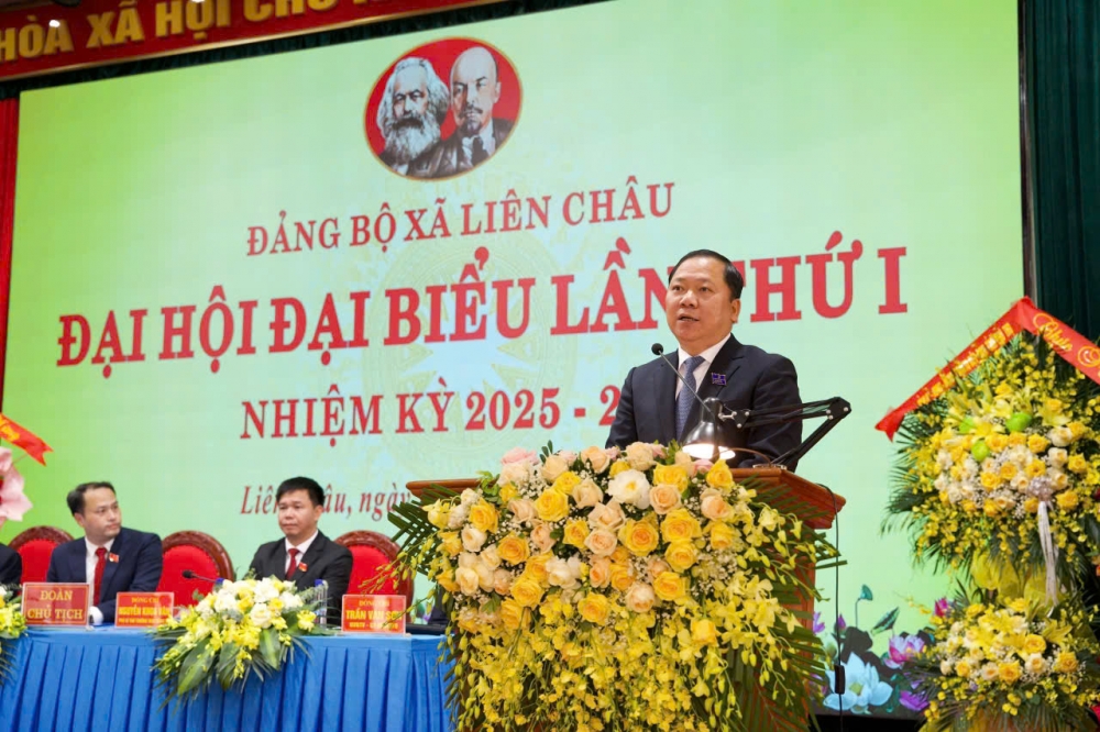 Nguyễn Phi Long, Ủy viên dự khuyết Ban Chấp hành Trung ương Đảng, Phó Bí thư Thường trực Tỉnh ủy;