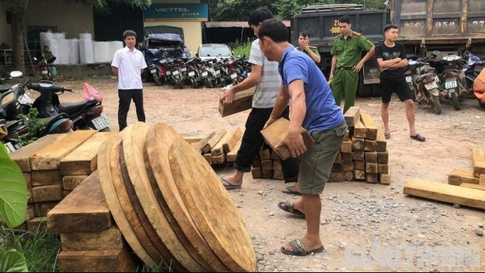 Yên Bái: Người đàn ông bị xử phạt 80 triệu đồng do tàng trữ lâm sản trái phép