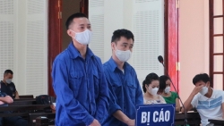 nghe an bac sy lua dao chay viec chiem doat gan 37 ti dong