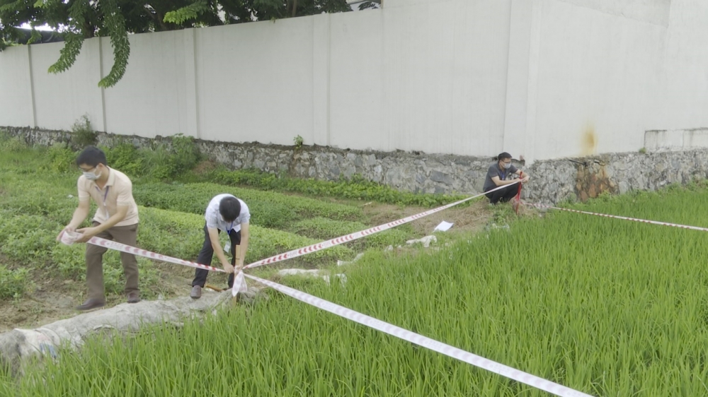 thực hiện dự án đầu tư xây dựng và phát triển đô thị phường Phúc Thắng, đoạn từ đường tỉnh lộ 301 đến đường Nguyễn Tất Thành.