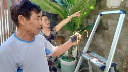 Đà Nẵng: Hoãn xét xử lần thứ tư vụ hàng xóm kéo nhau ra tòa vì 1,6m2 đất tường rào