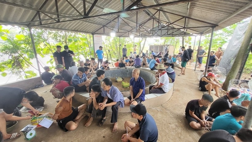 Phú Thọ: Bắt giữ hàng chục đối tượng đánh bạc dưới hình thức đá gà